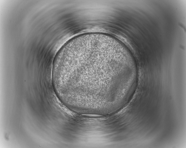 X0000101441228200807281015