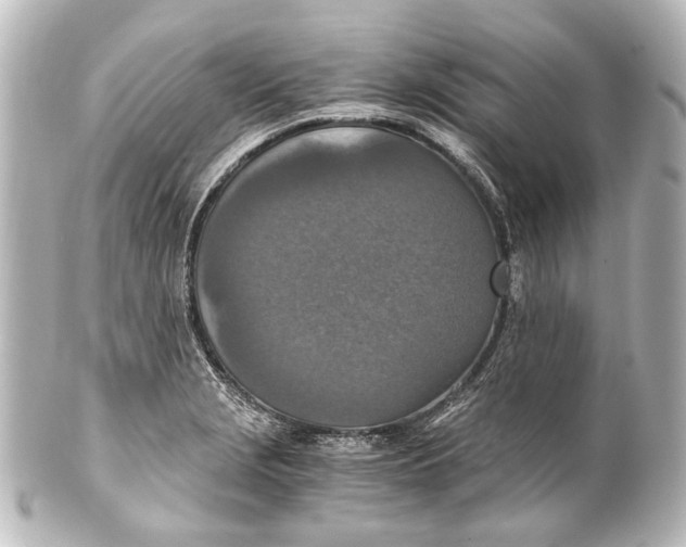 X0000101441229200807281015