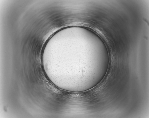 X0000101441230200807281015