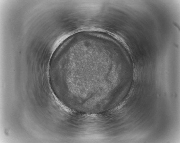 X0000101441231200807281015