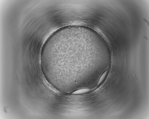 X0000101441232200807281015