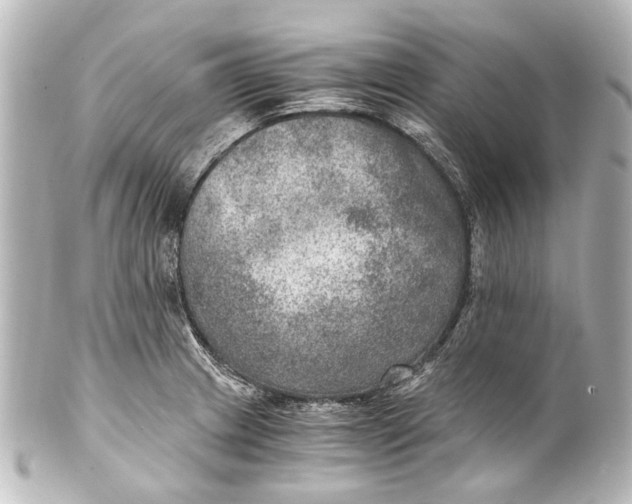 X0000101441233200807281015