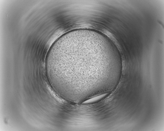 X0000101441234200807281015