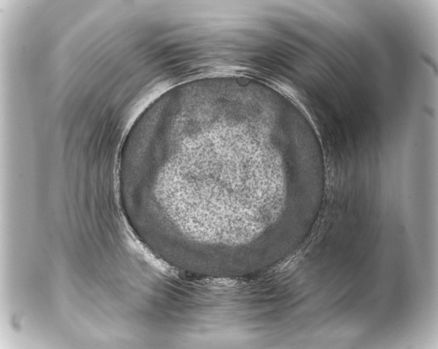 X0000101441235200807281015