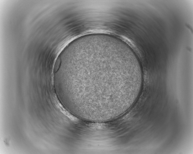 X0000101441236200807281015