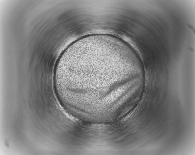 X0000101441237200807281015