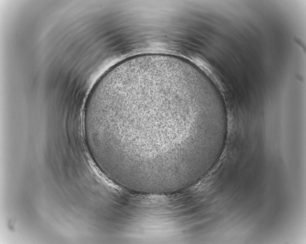 X0000101441238200807281015