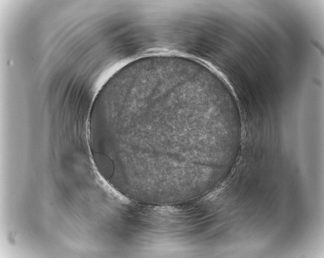 X0000101441239200807281015