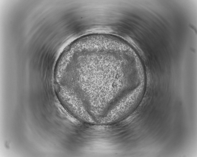 X0000101441240200807281015