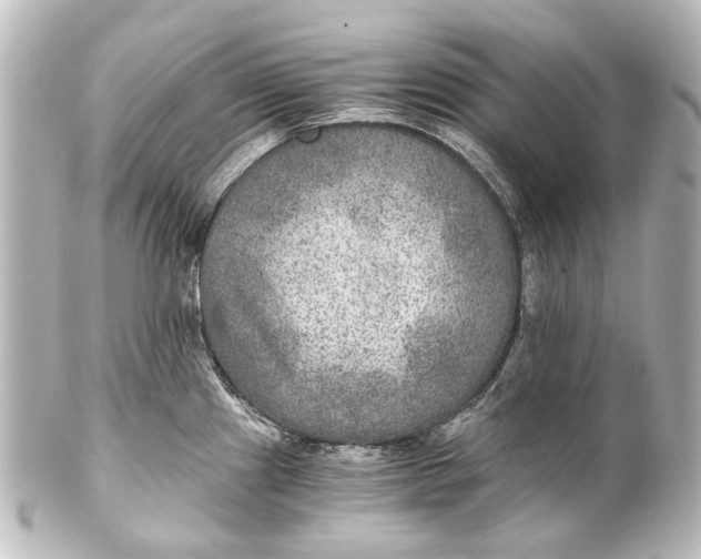 X0000101441241200807281015