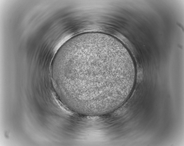 X0000101441242200807281015