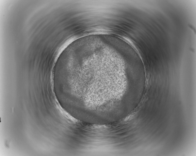 X0000101441243200807281015