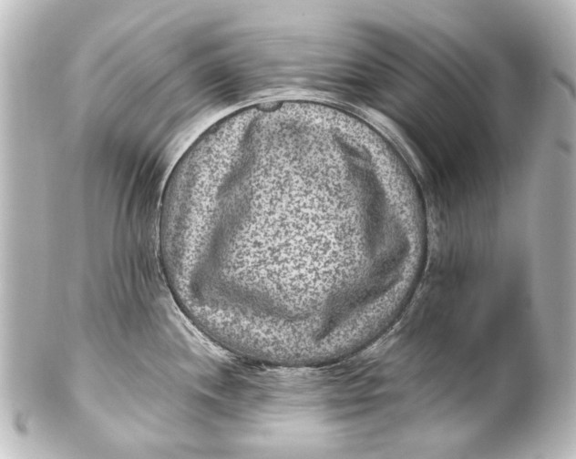 X0000101441244200807281015