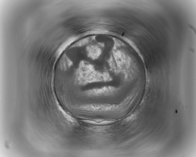 X0000101441245200807281015