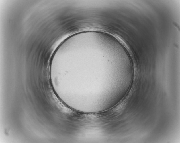 X0000101441246200807281015