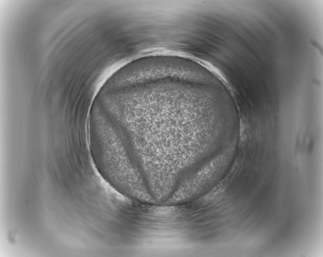 X0000101441247200807281015