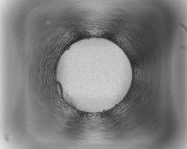 X0000101441249200807281015