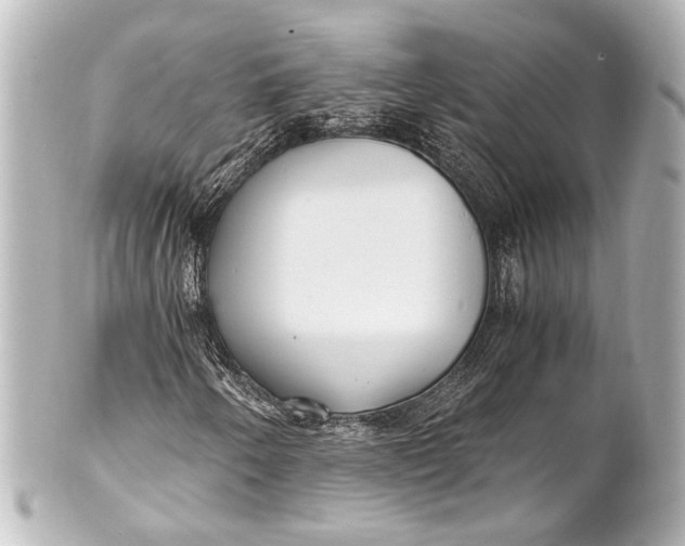 X0000101441250200807281015