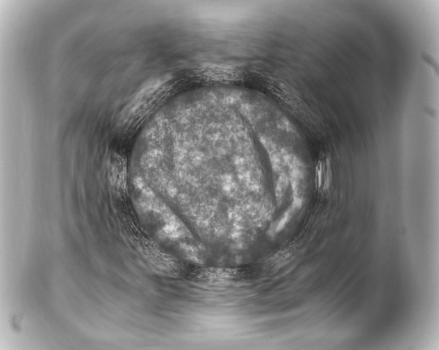 X0000101441251200807281015