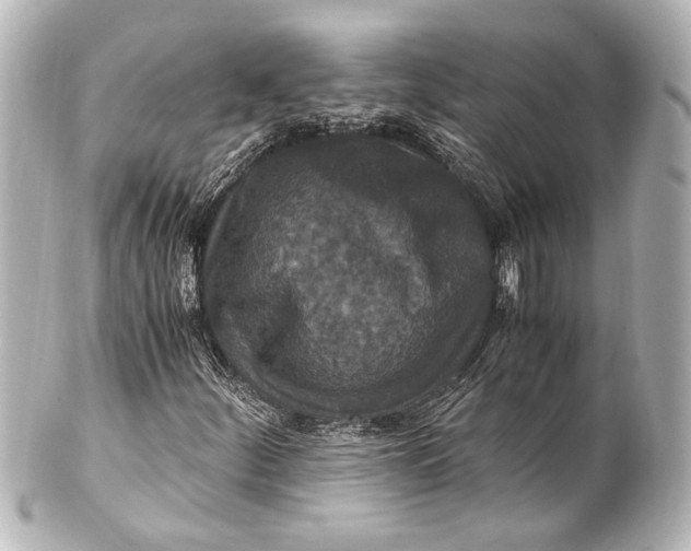 X0000101441252200807281015