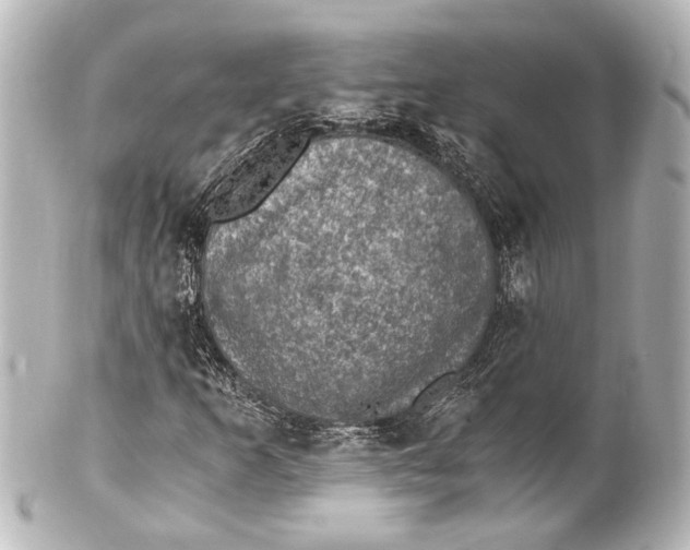 X0000101441253200807281015