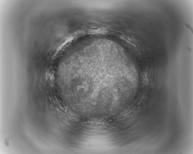 X0000101441254200807281015