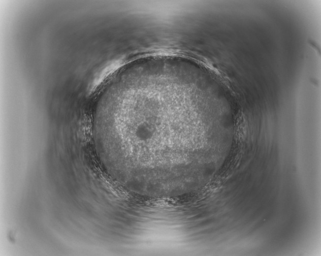 X0000101441255200807281015