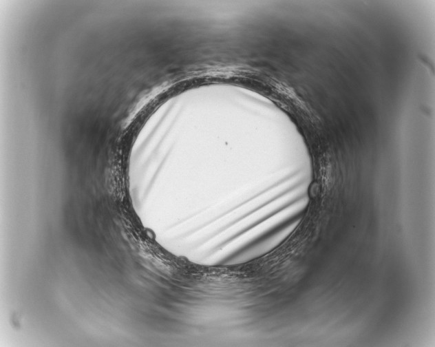 X0000101441256200807281015