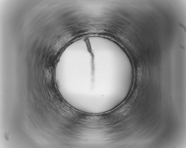 X0000101441257200807281015