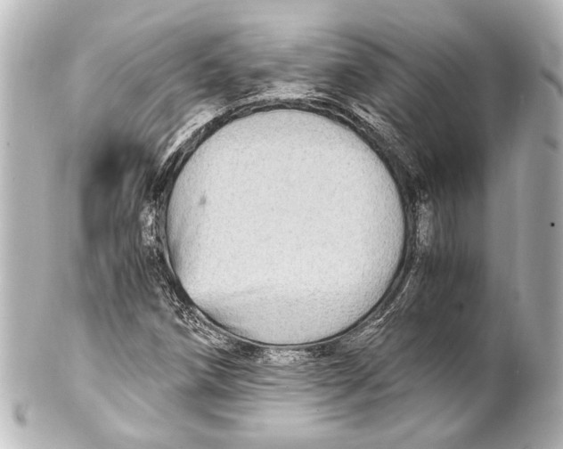 X0000101441258200807281015