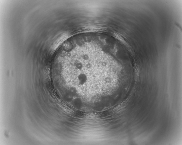 X0000101441259200807281015