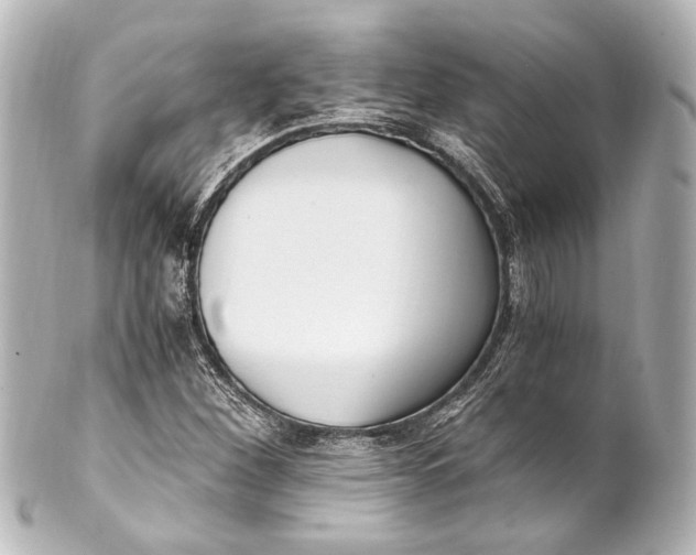 X0000101441260200807281015