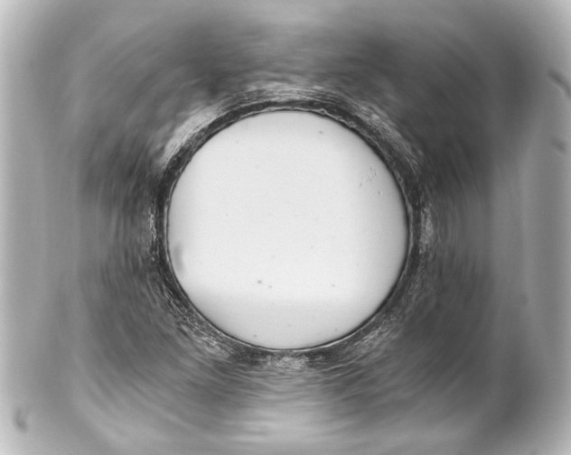 X0000101441261200807281015