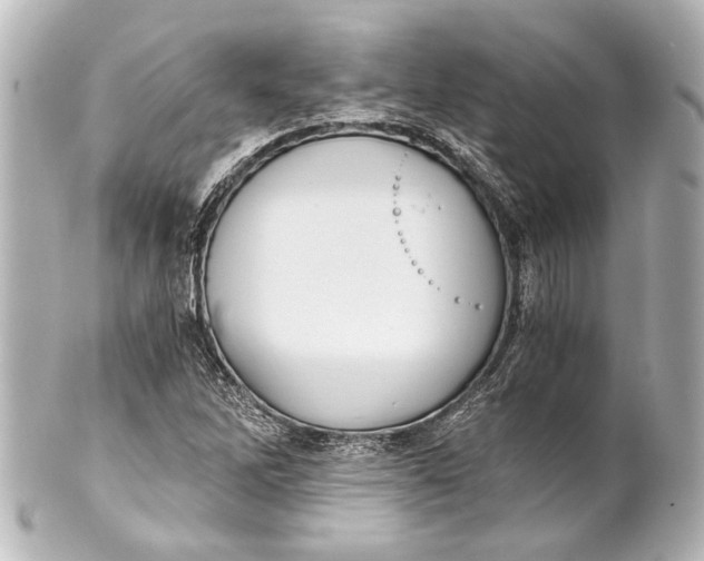 X0000101441262200807281015