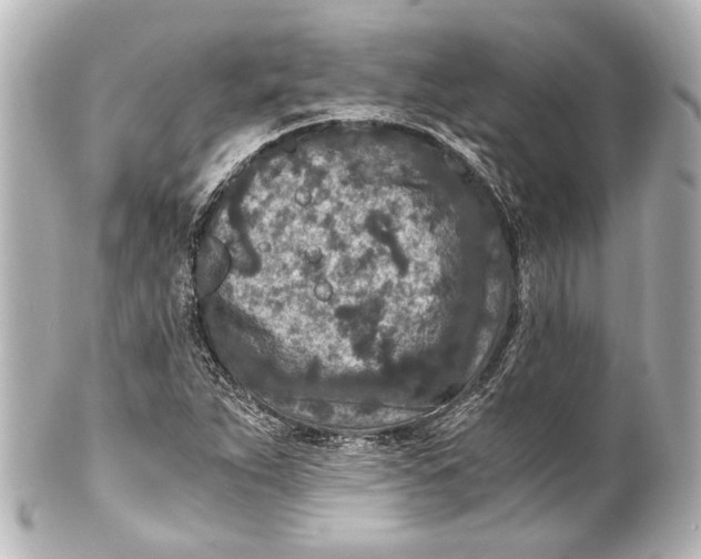 X0000101441263200807281015