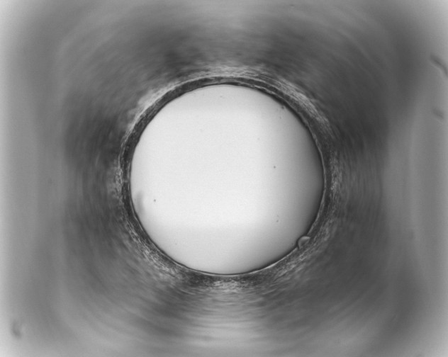 X0000101441264200807281015