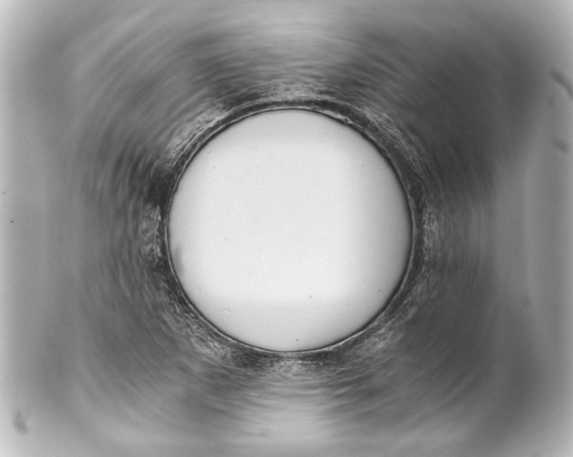 X0000101441265200807281015