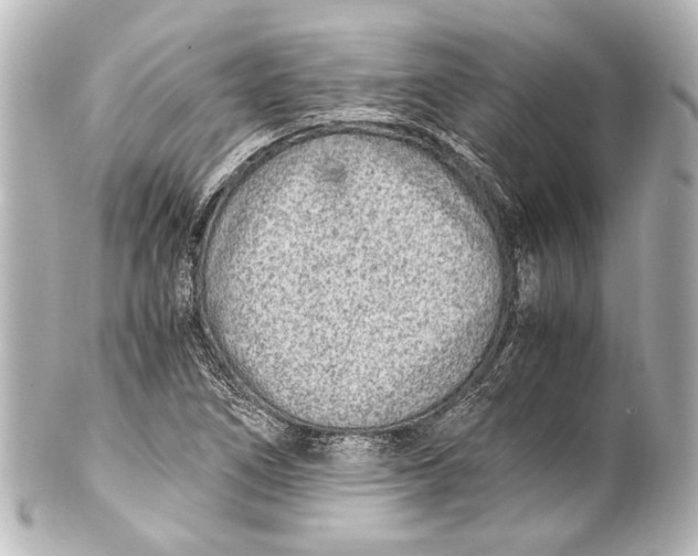 X0000101441266200807281015