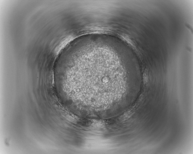 X0000101441267200807281015