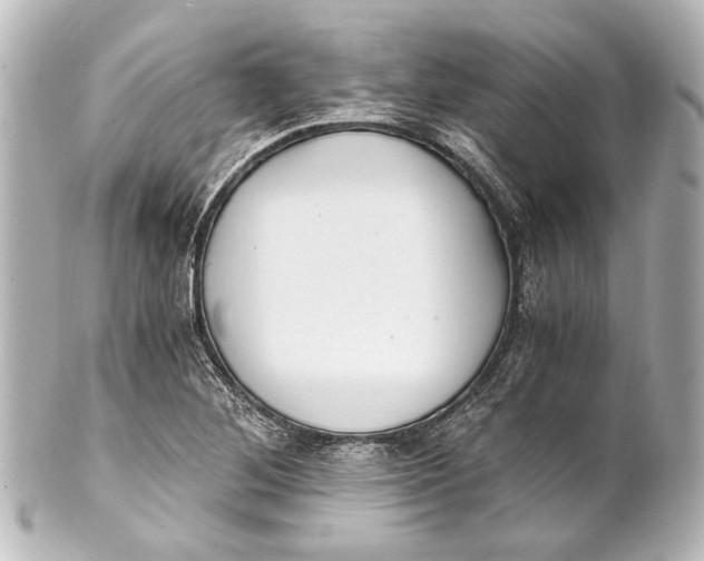 X0000101441268200807281015