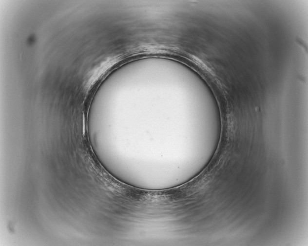 X0000101441269200807281014