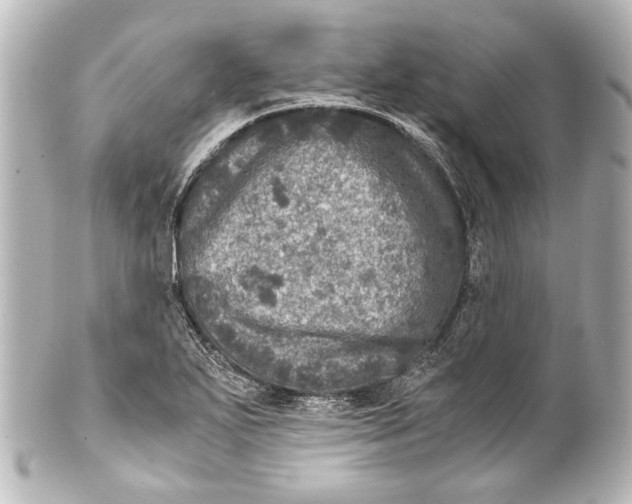 X0000101441271200807281014