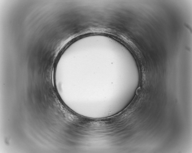 X0000101441272200807281014