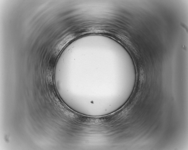 X0000101441273200807281014