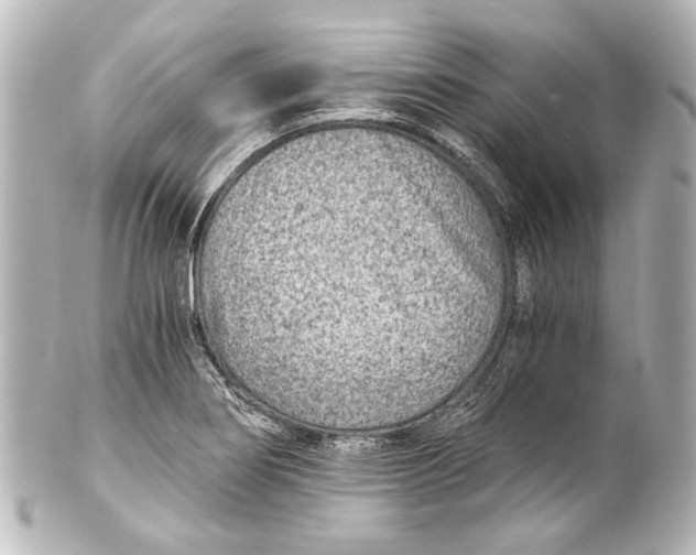 X0000101441274200807281014