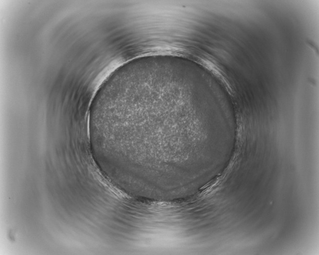 X0000101441275200807281014