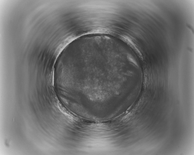 X0000101441276200807281014