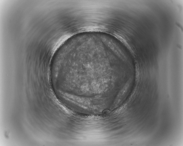 X0000101441277200807281014