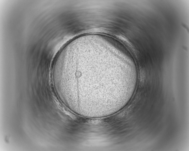 X0000101441278200807281014