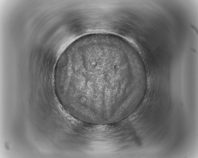 X0000101441279200807281014